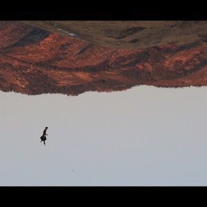 Meet your Posher, Emmanuel